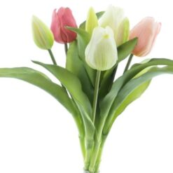 dhs-vermeer-tulip-pink-cream