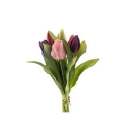 dhs-vermeer-tulips-purple-combo