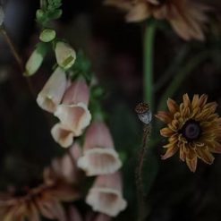 lumiere-florale-garden-glycolic-3