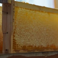 tidelands-house-labrador-leaf-cleansing-bar-1