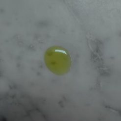 tidelands-house-the-sauvage-1