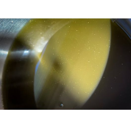 tidelands-house-the-sauvage-3