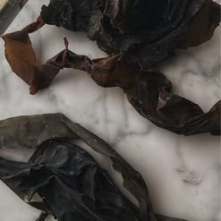 tidelands-house-fleurs-de-mer-1