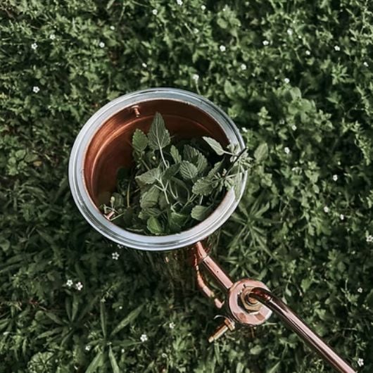 Honey Balm & Wild Violet Essence – Bild 4