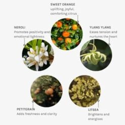 evolve-joyful-wash-3