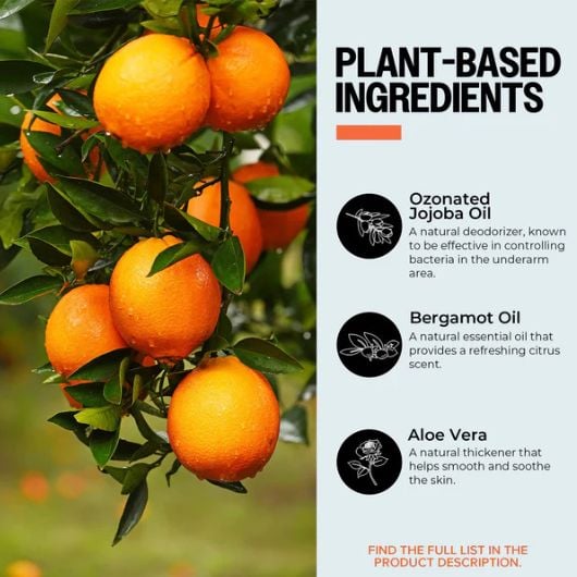purO3-jojoba-oil-deodorant-4