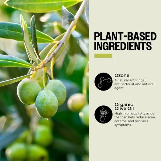 purO3-ozone-infused-olive-oil-6