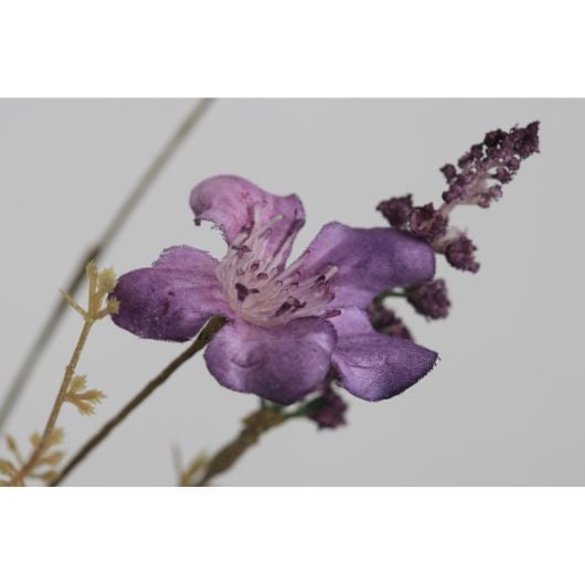 wild-flower-mix-purple-1