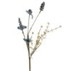 wild-flower-mix-blue