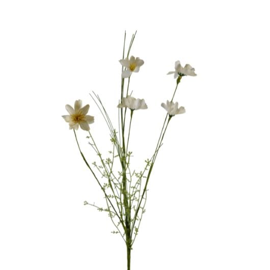 wildflower-cream