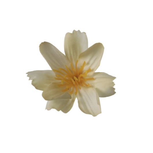 Wildflower Cream – Bild 2