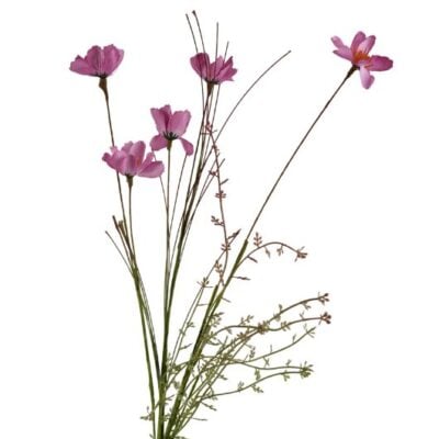 wildflower-pink