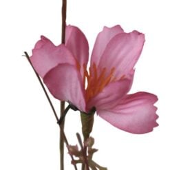 wildflower-pink-1