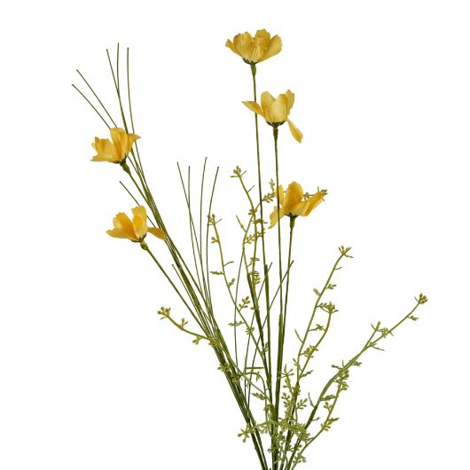 wildflower-yellow