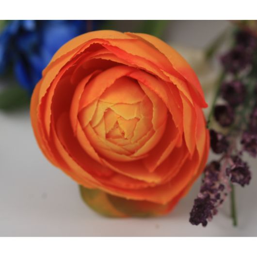 ranunculus-multi-orange-1