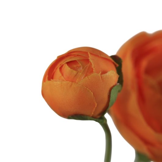ranunculus-multi-orange-2