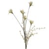 wild-thistle-cream