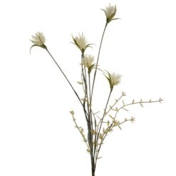 wild-thistle-cream
