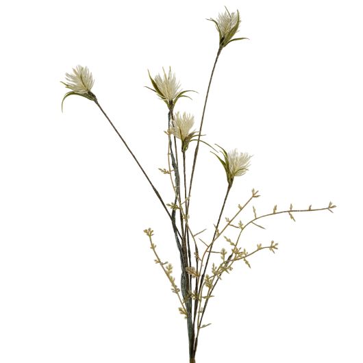 wild-thistle-cream