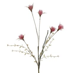 wild-thistle-pink