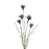wild-thistle-purple