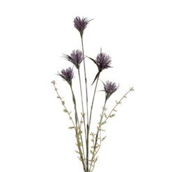 wild-thistle-purple