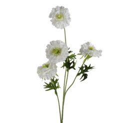 chrysant-white