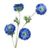 chrysantemum-blue