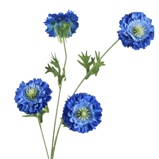 chrysantemum-blue