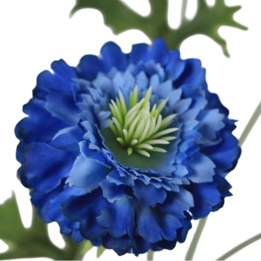 Chrysantemum Blue - Image 2