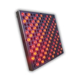 vivo-biophoton3.0