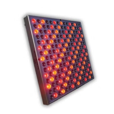 vivo-biophoton3.0