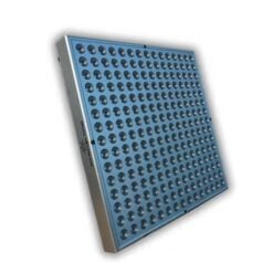 vivo-biophoton3.0-1