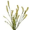 flowering-grass-yellow
