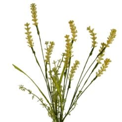 flowering-grass-yellow