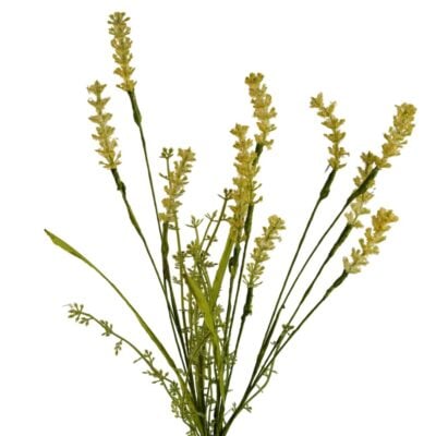 flowering-grass-yellow