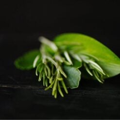 viori-rosemary-biotin-conditioner-1