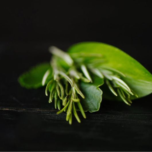 viori-rosemary-biotin-conditioner-1