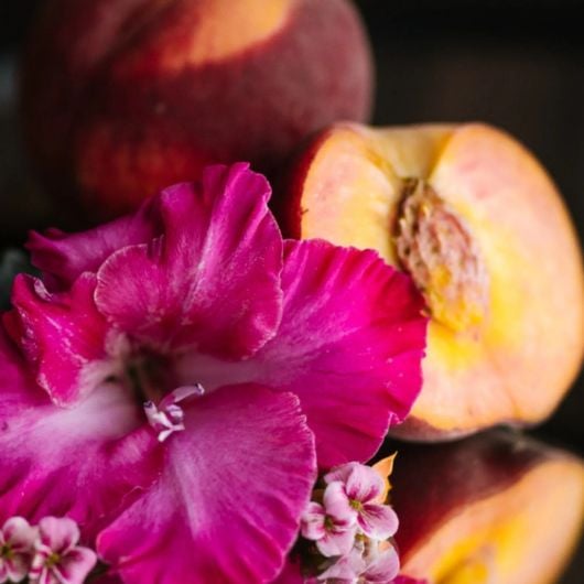 viori-peach-bath-tea-1