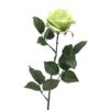 dyon-rose-green