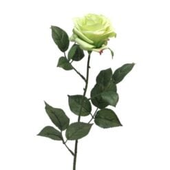dyon-rose-green