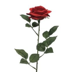 dyon-rose-red