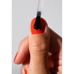High Gloss Top Coat - Image 3