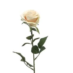 dyon-rose-light-pink