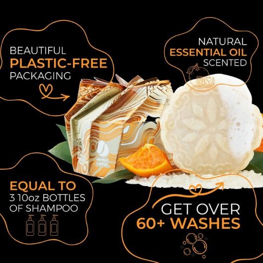 viori-citrus-zest-shampoo-5