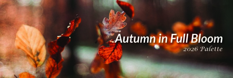 autumn-blog
