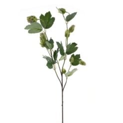 hops-spray