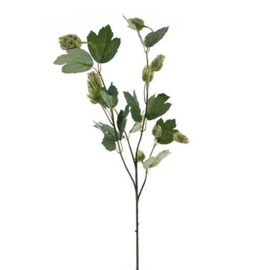 hops-spray