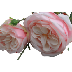 Italian Rose Spray Pink - Image 2