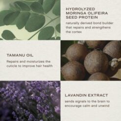 overnight-repair-serum-7